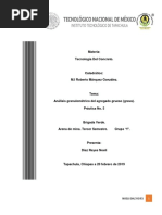 Práctica 5. Análisis Granulométrico Del Agregado Grueso Grava 1