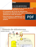 Fisiología - Semana 12 - Todo Junto