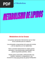 Metabolismo Lipidos PDF