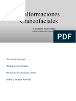 02 - Malformaciones Craneofaciales - LPH