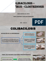 Coronavirus-Clostridium y Colibacilosis