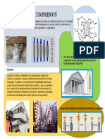 Compresion - Orientacion Estructural