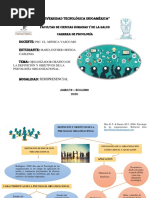 Organizador Gráfico de La Definición y Objetivos de La Psicología Organizacional.