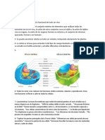 Es La Unidad Estructural y Funcional de Todo Ser Vivo