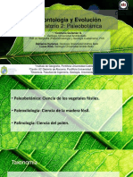 Semana 2 - Paleobotanica