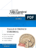 Tallo Cerebrtal