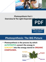 Photosynthesis Part I: Overview & The Light-Dependent Reactions