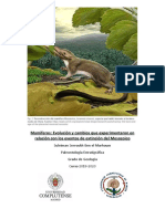 Origen y Evolucion de Los Mamiferos PDF