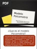 Modelo Psicomotriz PDF