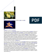 Perianto y Perigonio PDF