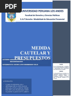 Medidas Cautelares y Presupuestos Grupo 5