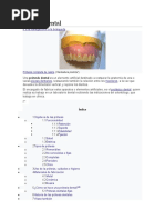 Definicion de Protesis Dental y Tipos