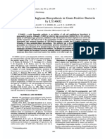 Inhibition of Peptidoglycan Biosynthesis in Gram-Positive Bacteria by LY146032