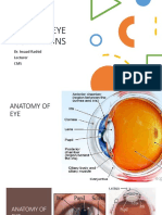 Eye PDF