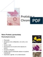 Resumen 7. Protistas y Oomycetes II - 2017