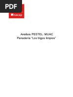 Análisis PESTEL S