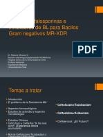 Nuevas Cefalosporinas e Inhibidores de BL para Bacilos Gram Negativos MR-XDR