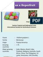 Guava As A Superfruit: Chairman Section Tropical and Subtropical Fruits International Society For Horticultural Sciences