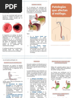 Triptico Patologias de Esofago