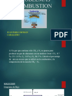 Problemas Combustion