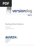 Backupclient Basics: © Auvesy GMBH