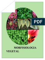 Morfisiologia Vegetal - Cuartilla