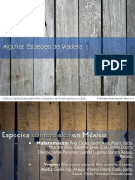 Algunas Especies de Madera