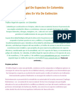 Trafico Ilegal de Animales en Colombia