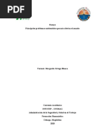 ENSAYO Principales Problemas Ambientales Que Más Afectan El Mundo