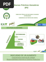 Ica - BPG Municipios Pdet