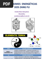 Síndromes Dos Zang Fu - Prof Eneida Mara