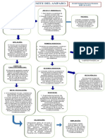 Esquema Del Amparo