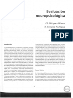 Tirapu - Evaluacion Neuropsicologica