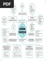 Sindrome Disejecutivo PDF