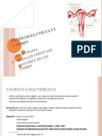 Patologia Colului