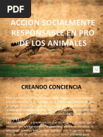 Accion Socialmente Responsable en Pro de Los Animales