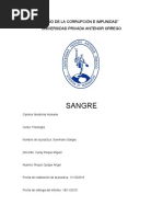 Informe de Sangre-Seminario