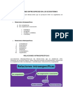 Relaciones Entre Especies en Los Ecosistemas - Nuevo