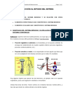 Introduccion Estudio Sistema Nervioso