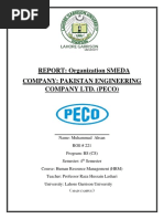 Report of PECO PDF