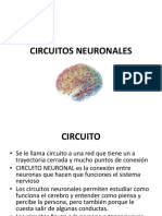 Circuitos Neuronales