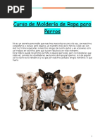 Curso de Molderia de Ropa para Perros 1