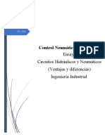 Ensayo Circuitos Hidráulicos y Neumáticos