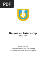 Internship Report