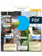 Infografia Contaminacion Ambiental