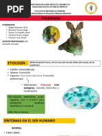 Tularemia