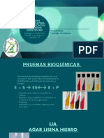 Pruebas Bioquimicas Especificas Grupo 2