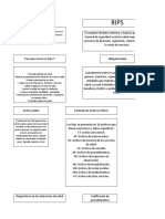 Mapa Conceptual Todo Rips