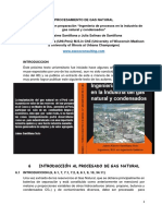 Procesamiento Gas Natural PDF