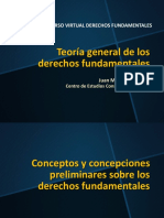 CEC 2019 - Teoría General de Los Derechos Fundamentales